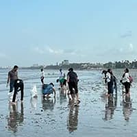 Beach Clean Up