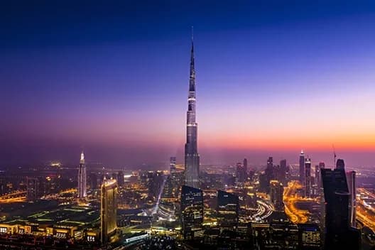 international immersion