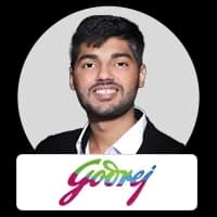 Nikhil Punjabi - Digital Marketing Consultant at Godrej Group