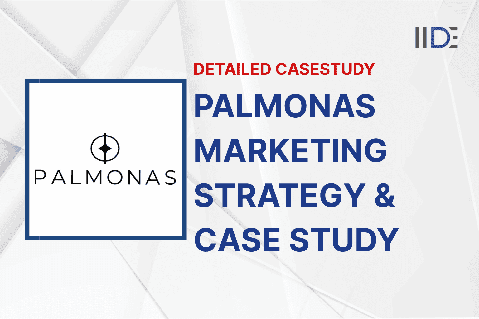 Palmonas Marketing Strategy & Case study Feature image