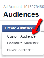 facebook remarketing - custom audience