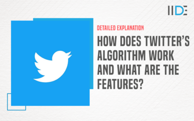 Here’s How the Twitter Algorithm Works in 2022 along with its User Interface