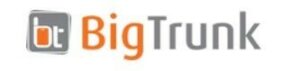 BigTrunk Logo - Digital Marketing Agencies in Navi Mumbai