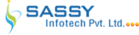 Sassy Infotech Logo - Digital Marketing Agencies in Surat
