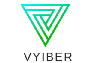Digital Marketing Courses in Thrissur - Vyiber Digital Academy logo