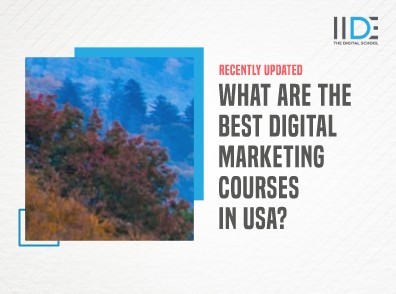 DM Courses in USA - Featured Image