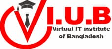 VIUB Logo - Digital Marketing Courses in Bangladesh