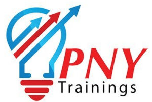 SEO Courses in Sialkot - PNY Trainings logo
