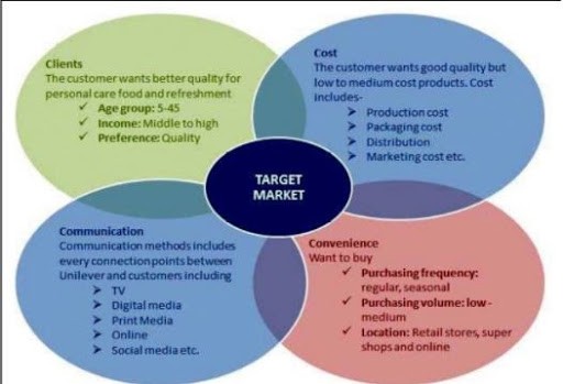 transforming hindustan unilever case study analysis