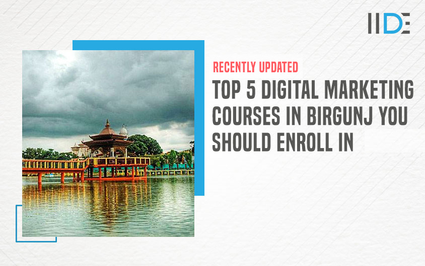 Digital Marketing Courses In Birgunj