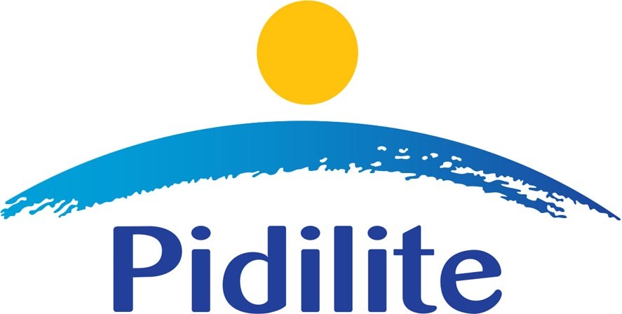 Marketing Strategy of Pidilite - A Case Study - About Pidilite