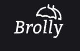 wordpress courses in hyderabad - brolly logo