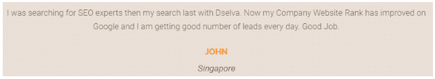 Digital Marketing Companies in India - Dselva Client Review
