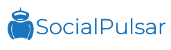 Digital Marketing Companies in India - Social Pulsar Logo