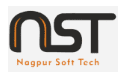 Digital Marketing Services in Nagpur - Nagpur Softtech Logo