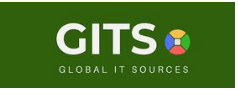 SEO Agencies in Noida - Global IT Sources Logo