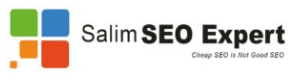 SEO Companies in Coimbatore - Salim SEO Experts Logo