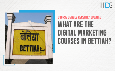 6 Best Digital Marketing Courses in Bettiah
