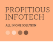 digital marketing courses in bikaner - propitious infotech logo