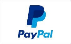 Business Model of Paypal | IIDE