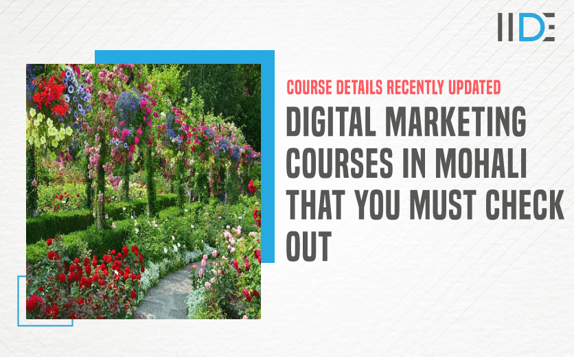 Digital Marketing Course in MOHALI - featured image