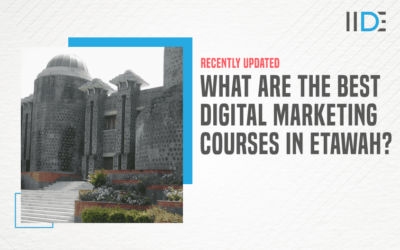 Top 5 Digital Marketing Courses in Etawah to Polish Your Digital Understanding