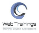 SEO Courses in Nellore - Web Training Logo