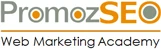 SEO Courses in St. Catharines - PromozSEO logo