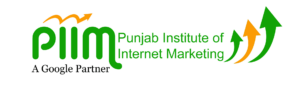 SEO Courses in Patiala - Punjab Institute of Internet Marketing logo