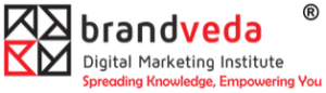 SEO Courses in Anand - Brandveda logo