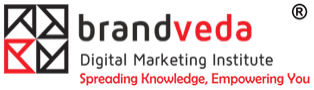 Digital marketing courses in Gandhinagar - BrandVeda logo