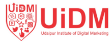 Digital Marketing Courses in Pali - Udaipur Institute of Digital Marketing Logo