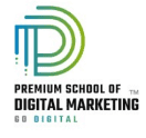 Digital Marketing Courses in Ichalkaranji - Premium School of Digital Marketing Logo