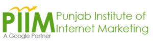 digital marketing courses in AMBALA - PIIM logo