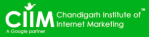 digital marketing courses in MOHALI - CIIM logo