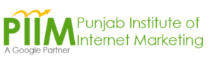 digital marketing courses in MOHALI - PIIM logo
