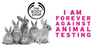 SWOT Analysis of The Body Shop | IIDE