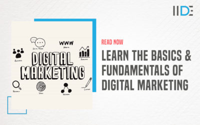 Digital Marketing Basics for Beginners: Learn an Overview of Digital Marketing