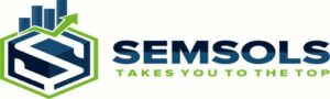 Digital Marketing Course in Purnia - SEMSOLS Logo