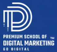 Digital Marketing Courses in Nanded - PSDM Logo