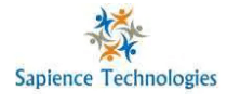 Digital Marketing Courses in Rewa - Sapience Technologies Logo