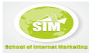 Digital Marketing Courses in Satara - SIM Logo