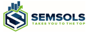 digital marketing courses in BOKARO - Semsols Technologies Pvt Ltd logo