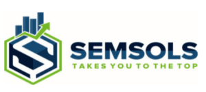 digital marketing courses in GAYA - Semsols Technologies Pvt Ltd logo