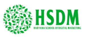 digital marketing courses in HISAR - HSDM logo
