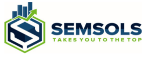 digital marketing courses in KATIHAR - Semsols Technologies Pvt Ltd logo