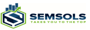 SEO Courses in Chhapra - Semsols Technologies Pvt Ltd logo