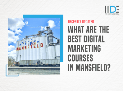 Digital Marketing Course in Mansfield - Featured Image