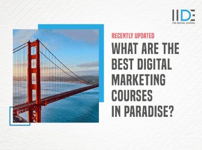 Digital Marketing Course in Paradise - Featured Image