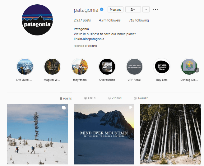 SWOT Analysis of Paragonia - Patagonia's Instagram